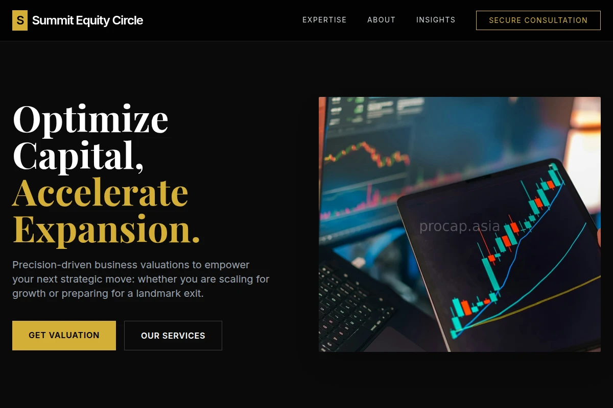 Vista Business Valuation