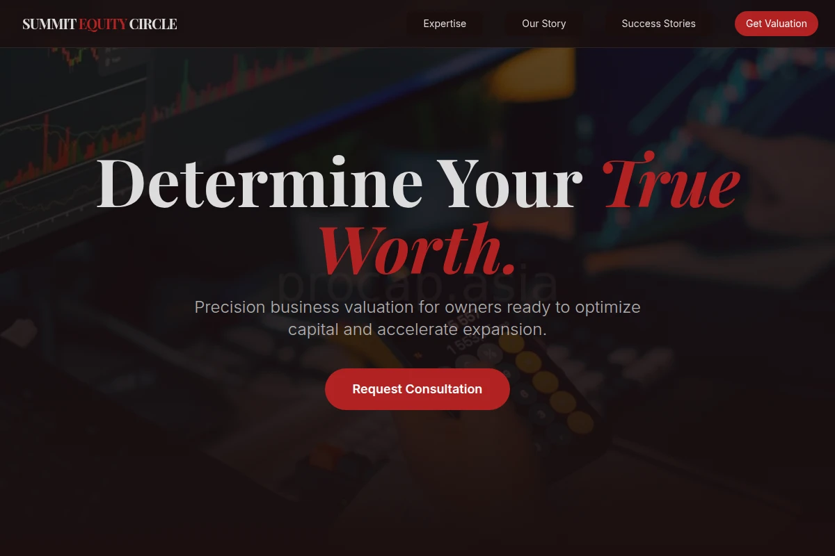 Portfolio Business Valuation