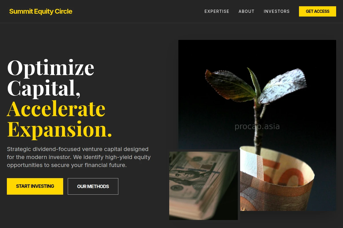 Dividend Venture Capital
