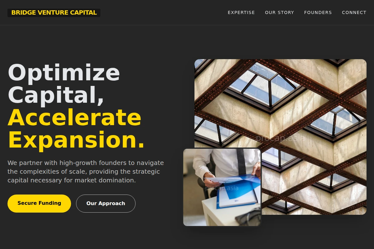 Bridge Venture Capital